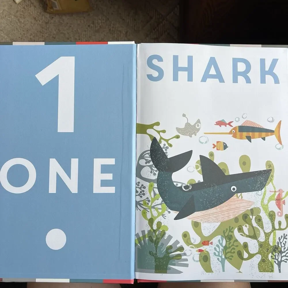 Numbers Illustrated Childrens Book by Fiona Powers Hardcover